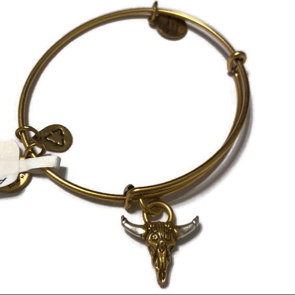 Alex and Ani Jewelry - Alex and Ani Spirited Skull Bracelet